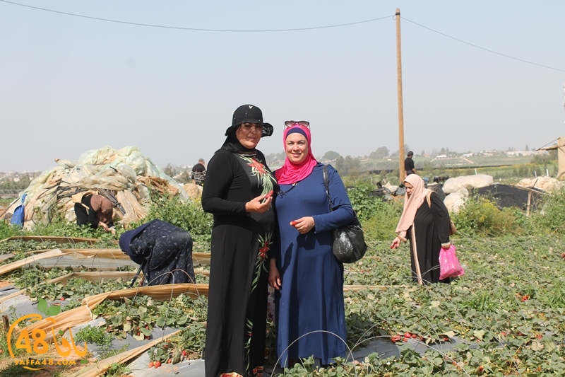 a7bab aqsa farawla (14).JPG